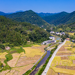 推荐线路2：品鱼观景 醉美乡村