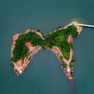 蝴蝶岛